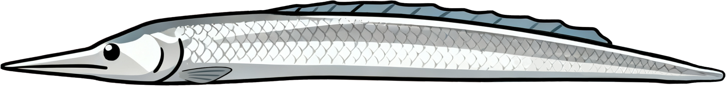Ribbonfish