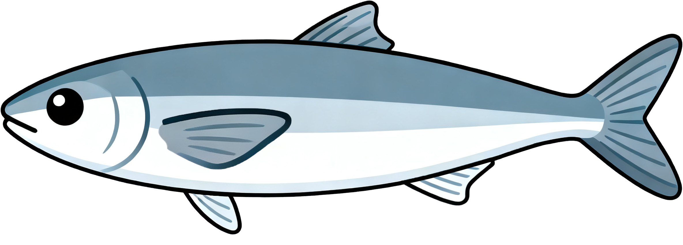 Sardine